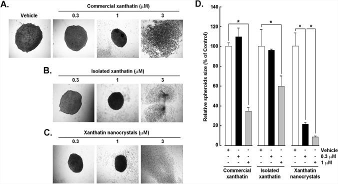 https://cdn.ncbi.nlm.nih.gov/pmc/blobs/fb25/12089583/4c99ad7c0b32/11671_2025_4257_Fig3_HTML.jpg