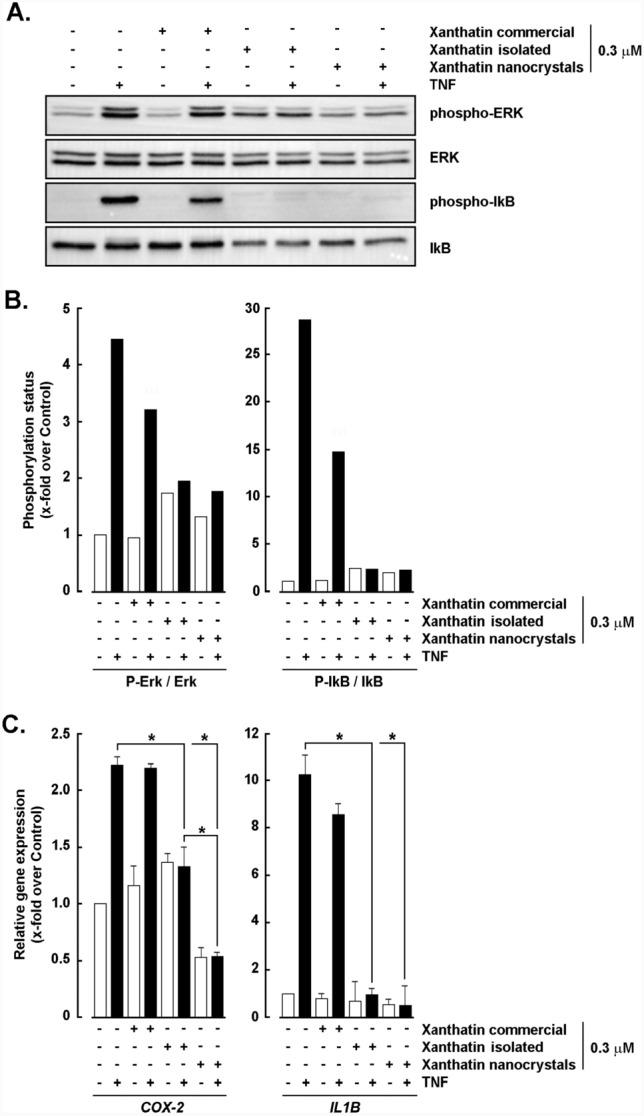 https://cdn.ncbi.nlm.nih.gov/pmc/blobs/fb25/12089583/830ca837b12d/11671_2025_4257_Fig6_HTML.jpg