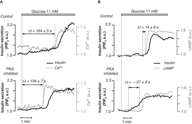 https://cdn.ncbi.nlm.nih.gov/pmc/blobs/fb25/3497220/2e320bc177b6/UPS-117-355-g003.jpg