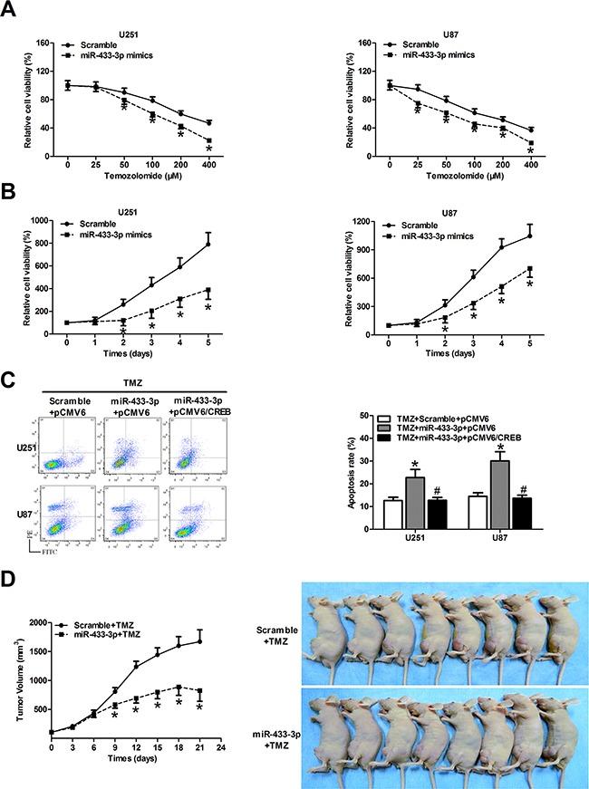 https://cdn.ncbi.nlm.nih.gov/pmc/blobs/fb25/5354892/a19ea659d0fb/oncotarget-08-5057-g006.jpg