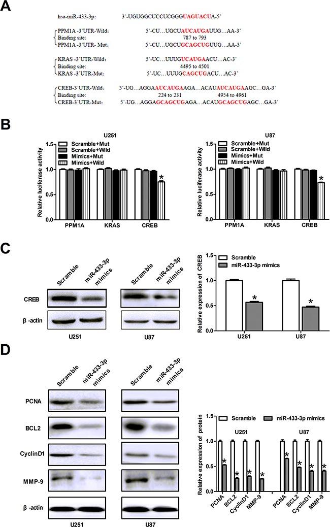 https://cdn.ncbi.nlm.nih.gov/pmc/blobs/fb25/5354892/aea989acf831/oncotarget-08-5057-g003.jpg