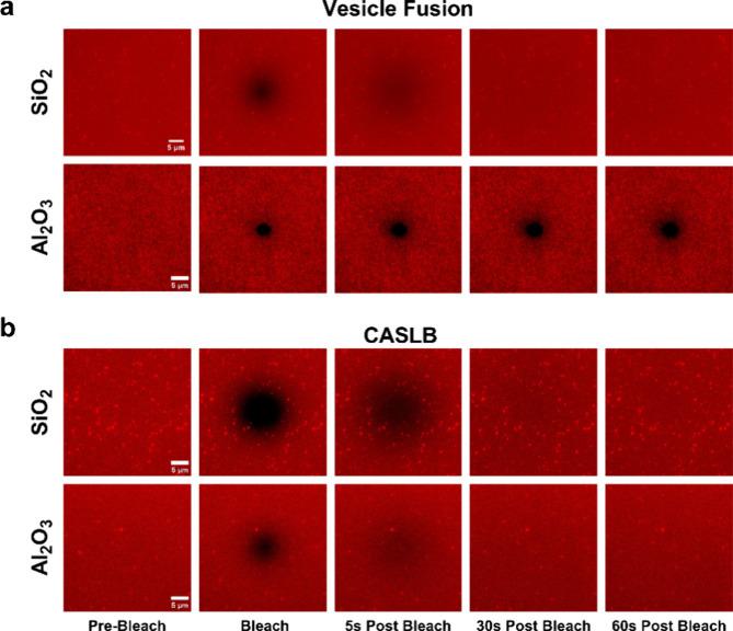 https://cdn.ncbi.nlm.nih.gov/pmc/blobs/fb27/11447895/3941be8a882d/la4c02543_0008.jpg