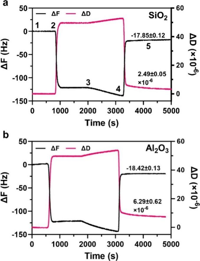 https://cdn.ncbi.nlm.nih.gov/pmc/blobs/fb27/11447895/5abe152f5714/la4c02543_0005.jpg