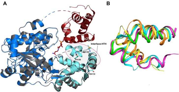 https://cdn.ncbi.nlm.nih.gov/pmc/blobs/fb28/8024701/4407fae850f4/gr4.jpg