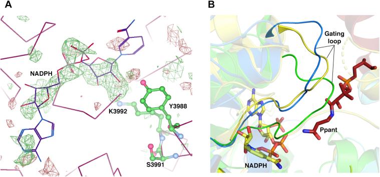 https://cdn.ncbi.nlm.nih.gov/pmc/blobs/fb28/8024701/739782d4b173/gr3.jpg