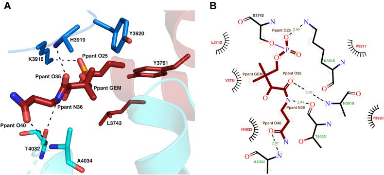 https://cdn.ncbi.nlm.nih.gov/pmc/blobs/fb28/8024701/e95a62d76da0/gr7.jpg