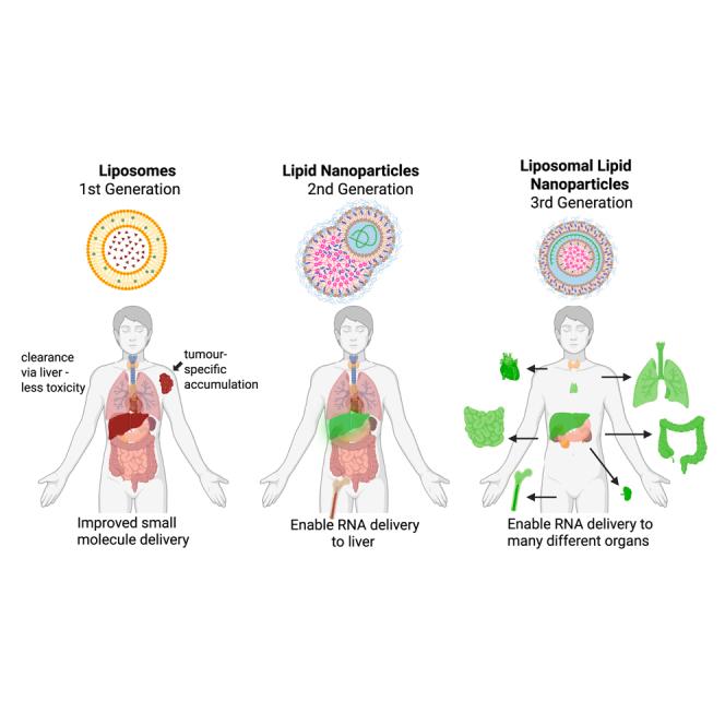 https://cdn.ncbi.nlm.nih.gov/pmc/blobs/fb2b/12274843/344dde1eb7d3/fx1.jpg