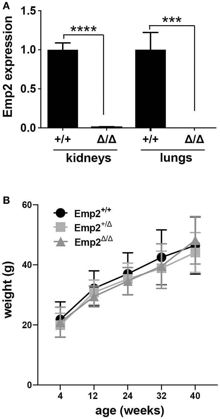 https://cdn.ncbi.nlm.nih.gov/pmc/blobs/fb2c/6718710/466e0d8b191d/fmed-06-00189-g0005.jpg