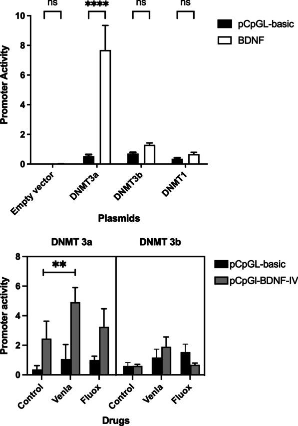https://cdn.ncbi.nlm.nih.gov/pmc/blobs/fb2c/9793565/1016cfb3f486/13148_2022_1415_Fig5_HTML.jpg