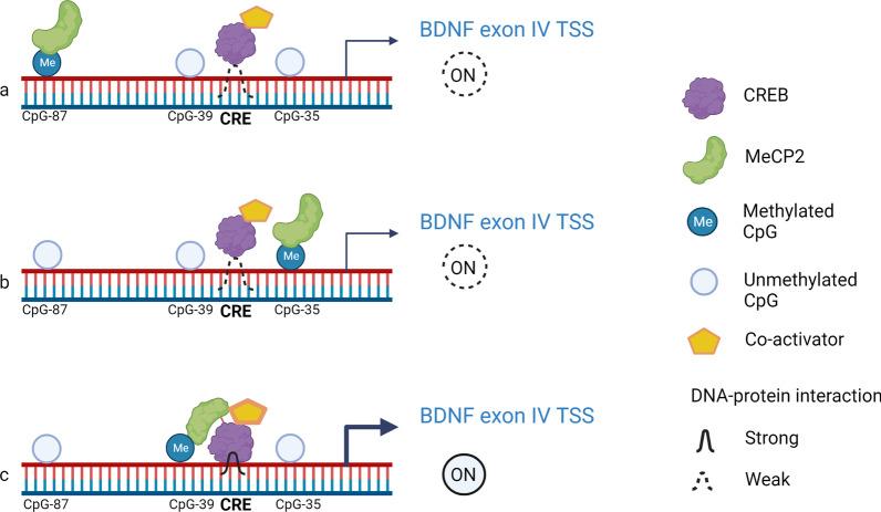 https://cdn.ncbi.nlm.nih.gov/pmc/blobs/fb2c/9793565/a51660d0255b/13148_2022_1415_Fig6_HTML.jpg