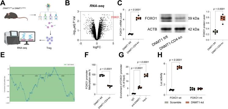 https://cdn.ncbi.nlm.nih.gov/pmc/blobs/fb2f/12397193/62dd4124fa66/10565_2025_10069_Fig3_HTML.jpg