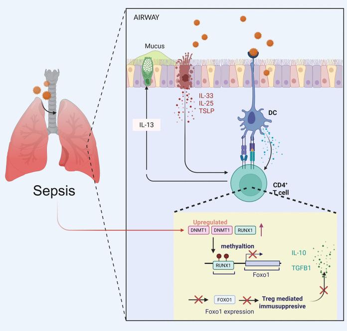 https://cdn.ncbi.nlm.nih.gov/pmc/blobs/fb2f/12397193/a51f22a7c3c4/10565_2025_10069_Fig8_HTML.jpg