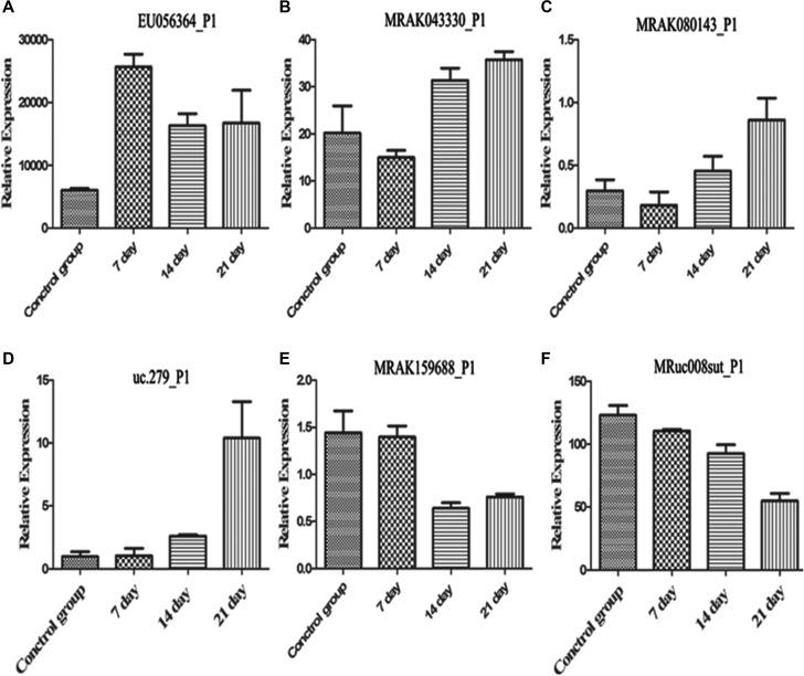 https://cdn.ncbi.nlm.nih.gov/pmc/blobs/fb2f/5762524/13eddd69de1b/oncotarget-08-112460-g005.jpg