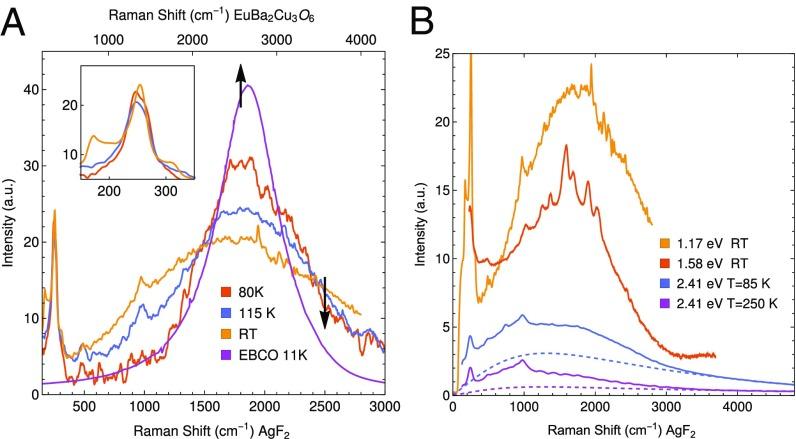 https://cdn.ncbi.nlm.nih.gov/pmc/blobs/fb30/6358696/b68fafa763e2/pnas.1812857116fig03.jpg