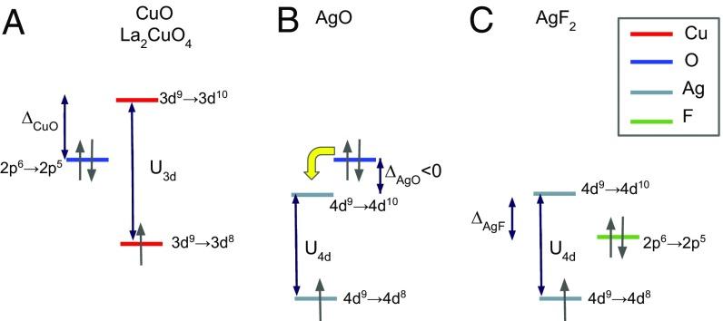 https://cdn.ncbi.nlm.nih.gov/pmc/blobs/fb30/6358696/f554b22f38f4/pnas.1812857116fig01.jpg