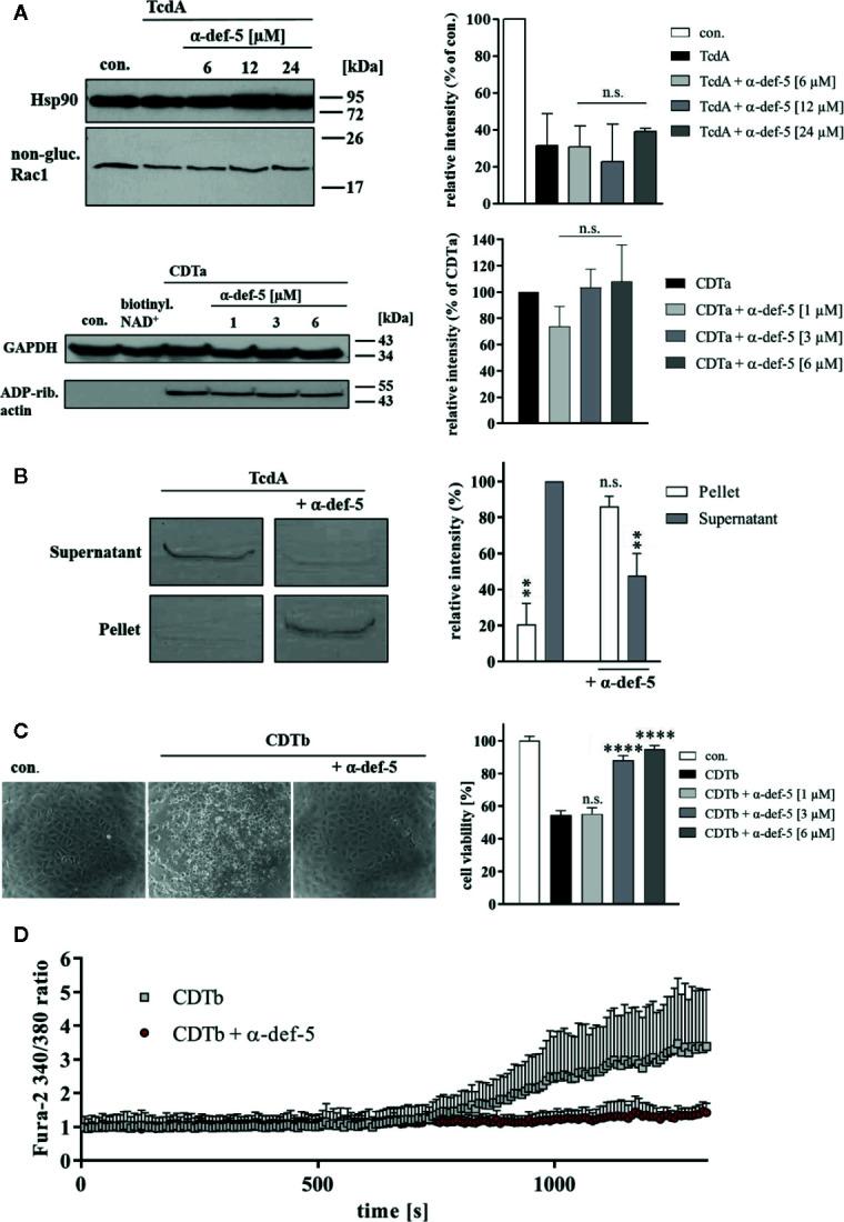 https://cdn.ncbi.nlm.nih.gov/pmc/blobs/fb31/7435013/da7de81d825f/fphar-11-01204-g004.jpg