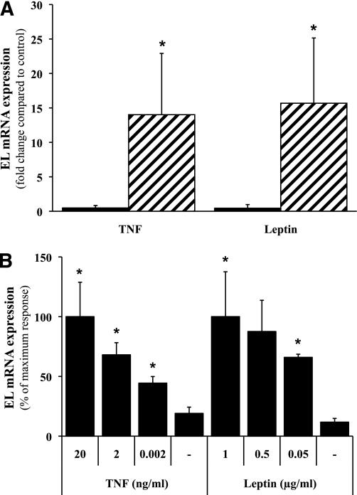 https://cdn.ncbi.nlm.nih.gov/pmc/blobs/fb32/3178285/4c714e3a5002/2457fig2.jpg