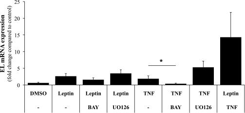 https://cdn.ncbi.nlm.nih.gov/pmc/blobs/fb32/3178285/9f2a6be8058a/2457fig4.jpg