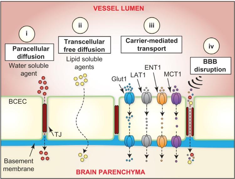 https://cdn.ncbi.nlm.nih.gov/pmc/blobs/fb33/4064947/8c8e0182b324/pmc-6-2014-011f2.jpg