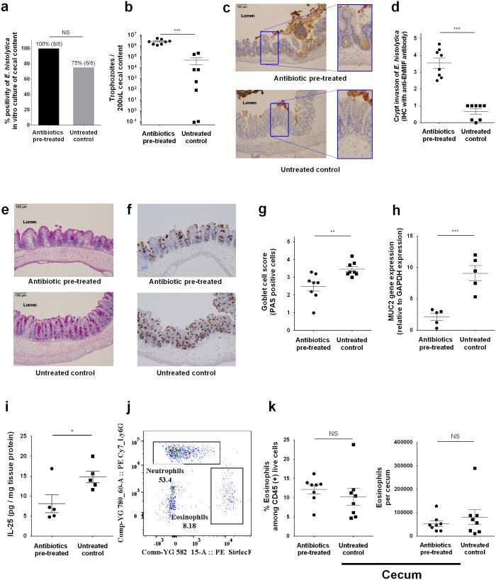 https://cdn.ncbi.nlm.nih.gov/pmc/blobs/fb33/5560520/a5ae0c1ef324/ppat.1006513.g003.jpg