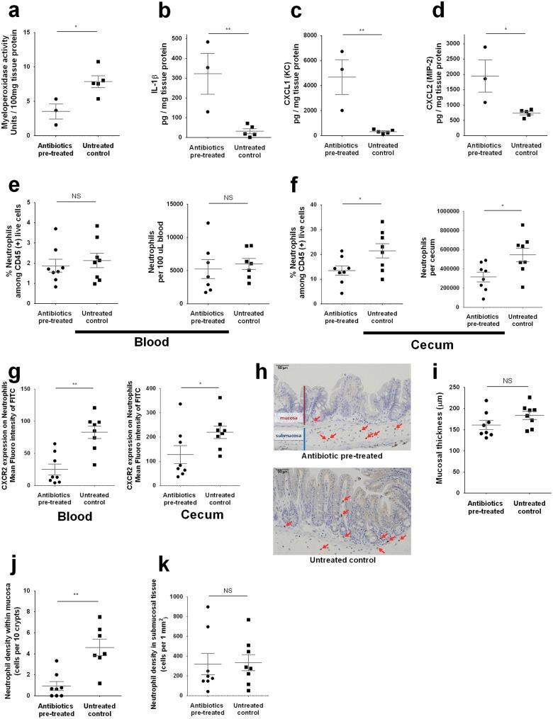 https://cdn.ncbi.nlm.nih.gov/pmc/blobs/fb33/5560520/caa2f0cd4311/ppat.1006513.g004.jpg