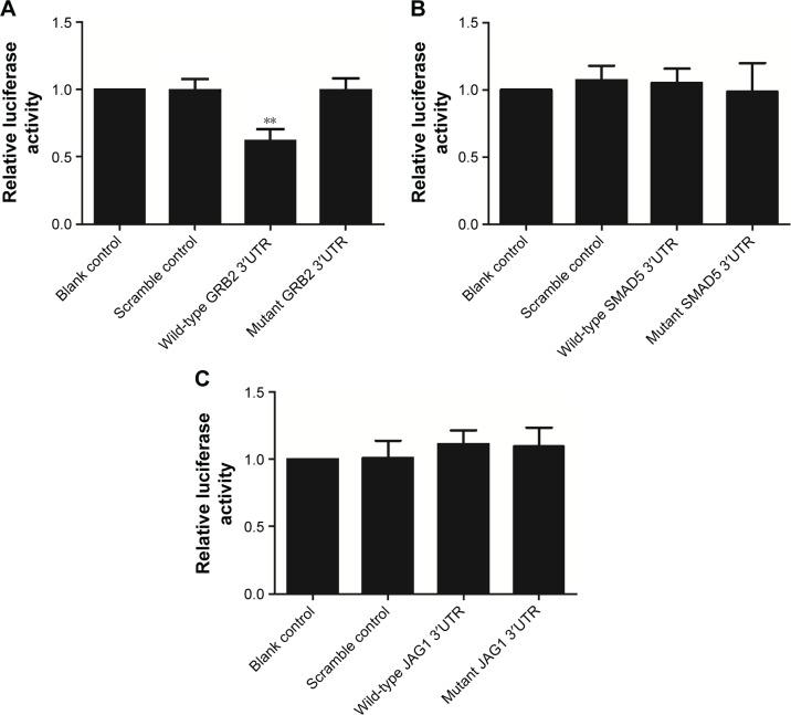 https://cdn.ncbi.nlm.nih.gov/pmc/blobs/fb34/5422315/f456eac084a2/copd-12-1351Fig3.jpg