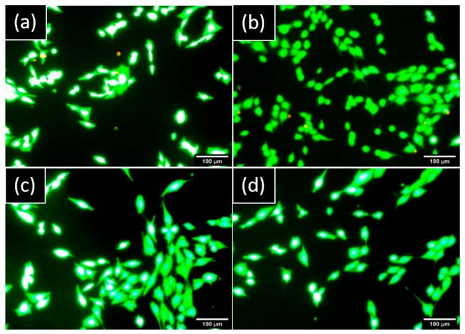 https://cdn.ncbi.nlm.nih.gov/pmc/blobs/fb34/9655689/54dd4add3d1e/materials-15-07540-g004.jpg
