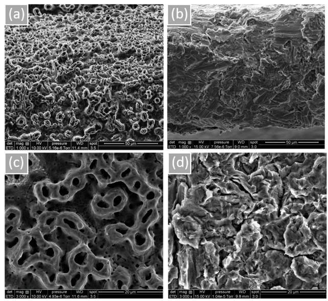 https://cdn.ncbi.nlm.nih.gov/pmc/blobs/fb34/9655689/bb608ace0afb/materials-15-07540-g001.jpg