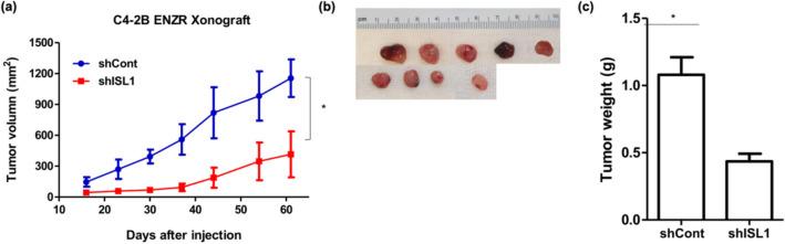 https://cdn.ncbi.nlm.nih.gov/pmc/blobs/fb35/8578390/0444f1f535b5/41598_2021_1003_Fig7_HTML.jpg