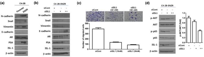 https://cdn.ncbi.nlm.nih.gov/pmc/blobs/fb35/8578390/45c81d2c1fed/41598_2021_1003_Fig6_HTML.jpg