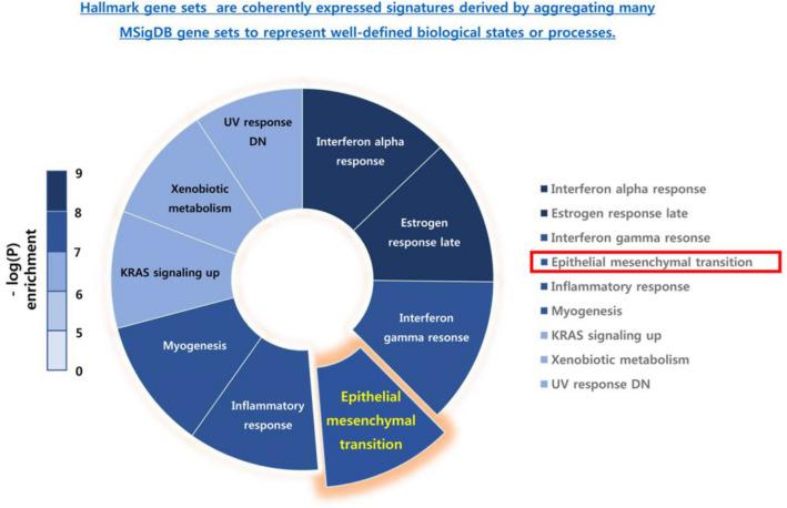 https://cdn.ncbi.nlm.nih.gov/pmc/blobs/fb35/8578390/484c7bffb651/41598_2021_1003_Fig3_HTML.jpg