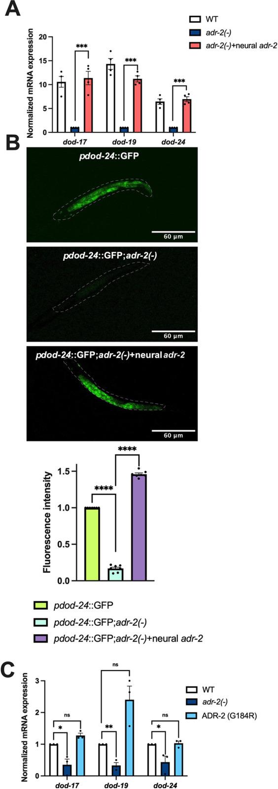 https://cdn.ncbi.nlm.nih.gov/pmc/blobs/fb37/10553819/98d21805e4ef/pbio.3002150.g002.jpg