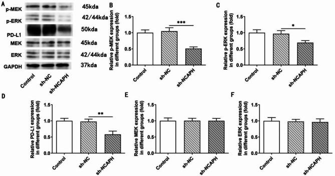 https://cdn.ncbi.nlm.nih.gov/pmc/blobs/fb39/12010566/e5aa2ec56dc8/13048_2025_1659_Fig4_HTML.jpg