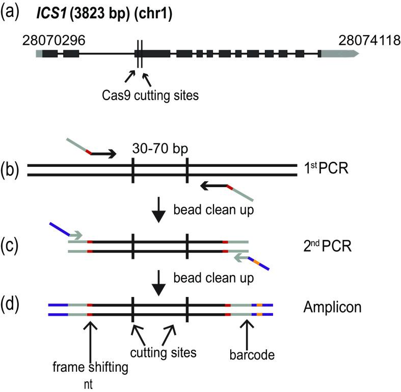 https://cdn.ncbi.nlm.nih.gov/pmc/blobs/fb3a/10095899/b50c5e76045d/S2632882820000065_fig1.jpg