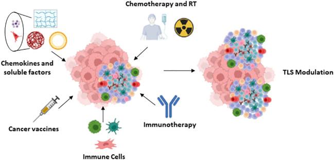 https://cdn.ncbi.nlm.nih.gov/pmc/blobs/fb3a/10445545/17a3e89b9452/fimmu-14-1231315-g004.jpg