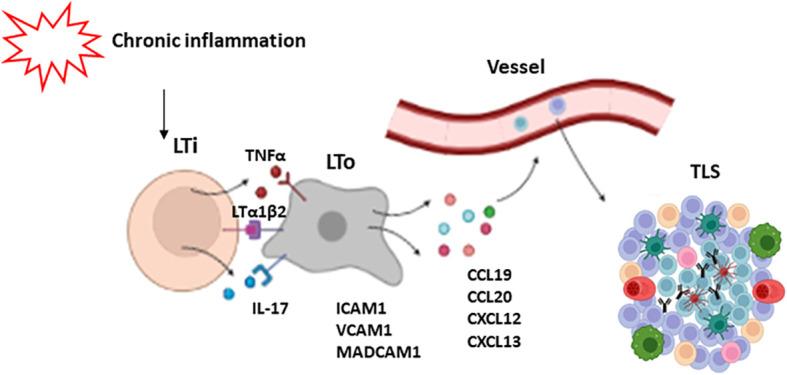 https://cdn.ncbi.nlm.nih.gov/pmc/blobs/fb3a/10445545/88b90da94cca/fimmu-14-1231315-g002.jpg