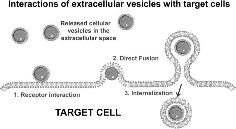 https://cdn.ncbi.nlm.nih.gov/pmc/blobs/fb3b/3726994/be11ab6bb8cd/fgene-04-00142-g0003.jpg