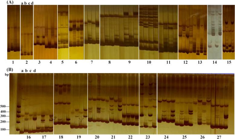 https://cdn.ncbi.nlm.nih.gov/pmc/blobs/fb3d/10318724/1b5d52678b95/12870_2023_4355_Fig6_HTML.jpg