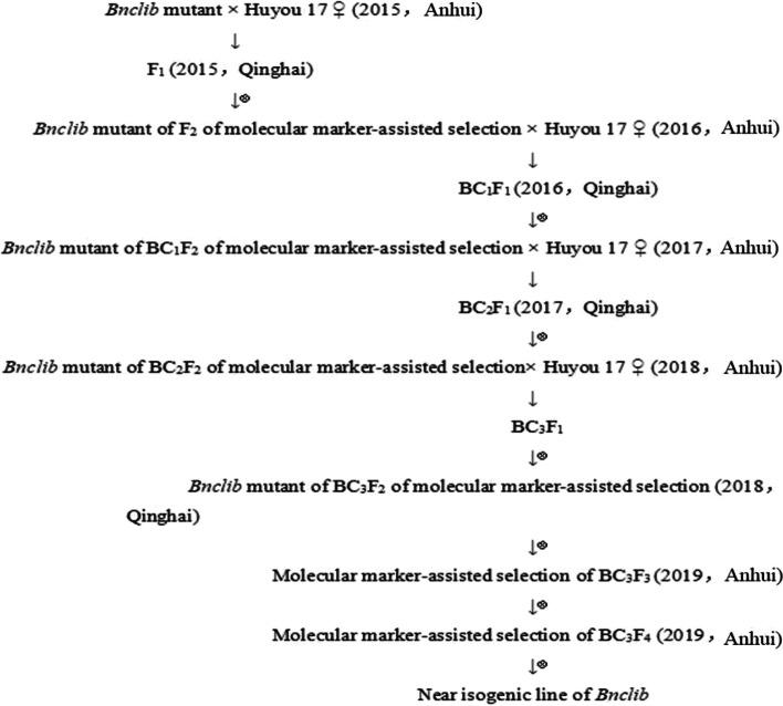 https://cdn.ncbi.nlm.nih.gov/pmc/blobs/fb3d/10318724/221d35b33ca7/12870_2023_4355_Fig1_HTML.jpg