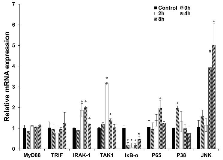 https://cdn.ncbi.nlm.nih.gov/pmc/blobs/fb40/11316325/2223664b2e39/12917_2024_4220_Fig5_HTML.jpg
