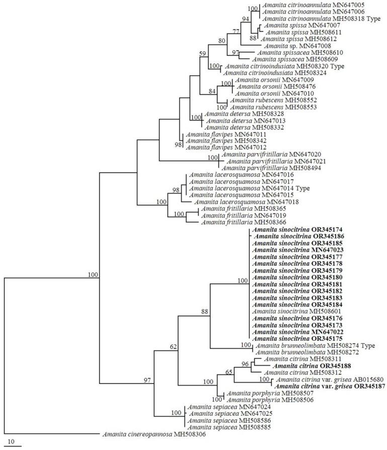 https://cdn.ncbi.nlm.nih.gov/pmc/blobs/fb40/12115419/352c337bee5b/toxins-17-00247-g002.jpg