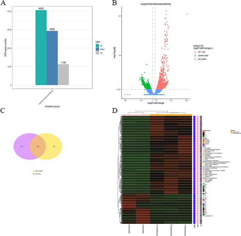 https://cdn.ncbi.nlm.nih.gov/pmc/blobs/fb42/10929086/df7b675bf63d/12920_2024_1842_Fig5_HTML.jpg