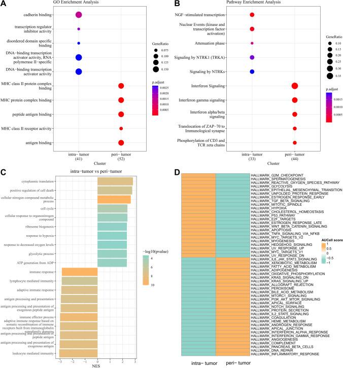 https://cdn.ncbi.nlm.nih.gov/pmc/blobs/fb42/11436502/92cfc2f29e4f/12672_2024_1372_Fig2_HTML.jpg