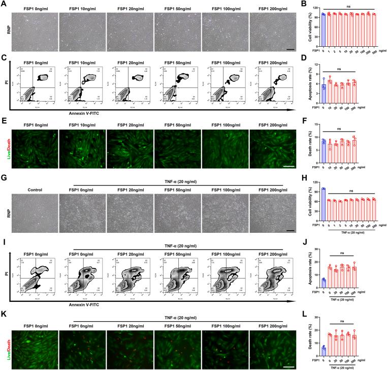 https://cdn.ncbi.nlm.nih.gov/pmc/blobs/fb45/11565395/4008d71eac4f/gr5.jpg
