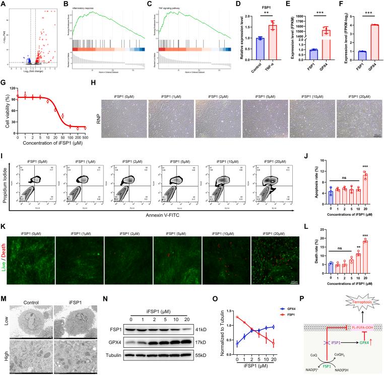 https://cdn.ncbi.nlm.nih.gov/pmc/blobs/fb45/11565395/58353aa952d1/gr2.jpg