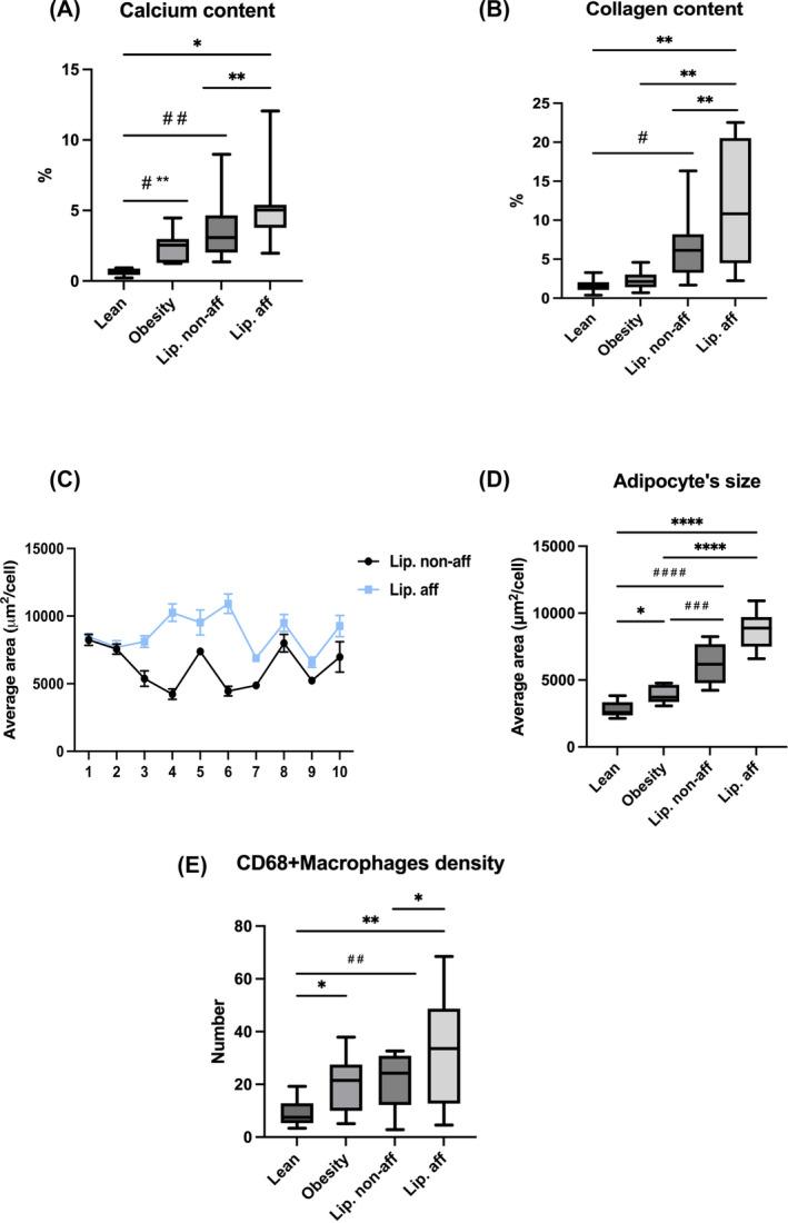 https://cdn.ncbi.nlm.nih.gov/pmc/blobs/fb46/11937865/e023c6b75b98/OBY-33-695-g002.jpg
