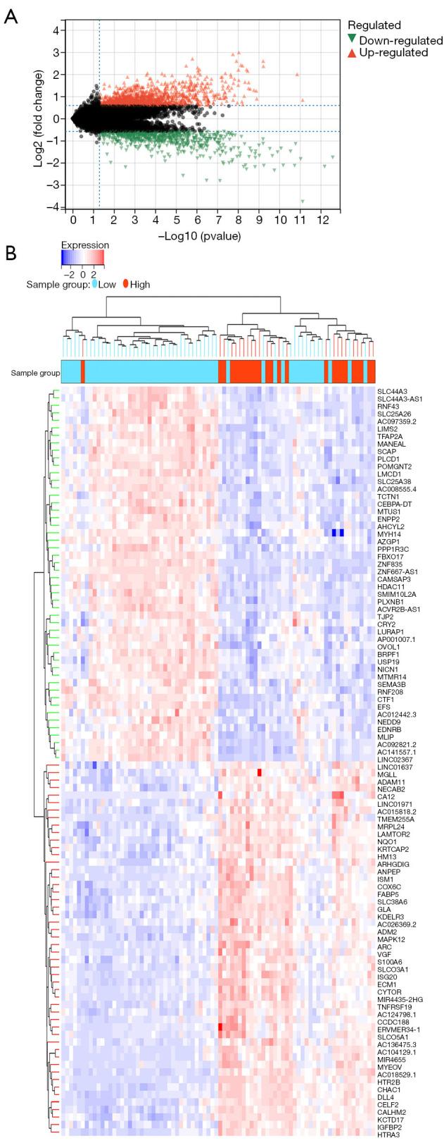 https://cdn.ncbi.nlm.nih.gov/pmc/blobs/fb48/10928595/c5f9f901379f/tcr-13-02-771-f4.jpg