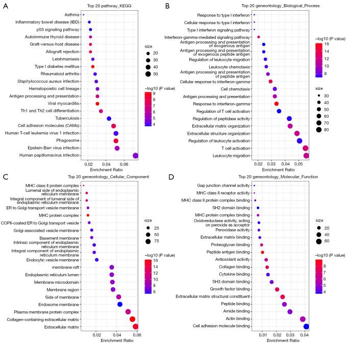 https://cdn.ncbi.nlm.nih.gov/pmc/blobs/fb48/10928595/f105ca004f1c/tcr-13-02-771-f5.jpg