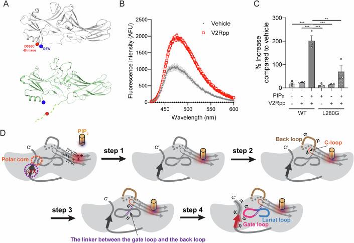 https://cdn.ncbi.nlm.nih.gov/pmc/blobs/fb49/11467438/5180dded2451/44319_2024_239_Fig4_HTML.jpg
