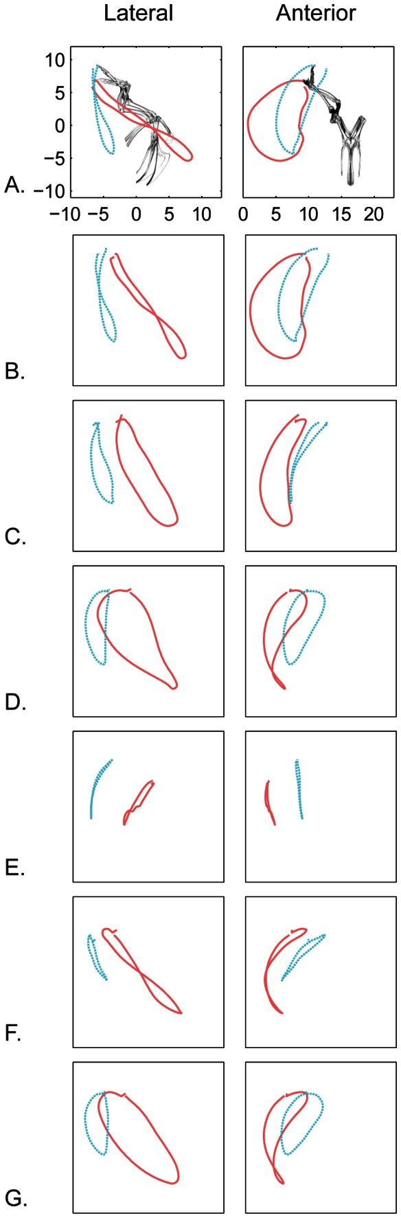https://cdn.ncbi.nlm.nih.gov/pmc/blobs/fb4a/3655074/738a0f2a40a9/pone.0063982.g009.jpg